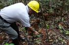 Workshop sobre recuperação de áreas mineradas