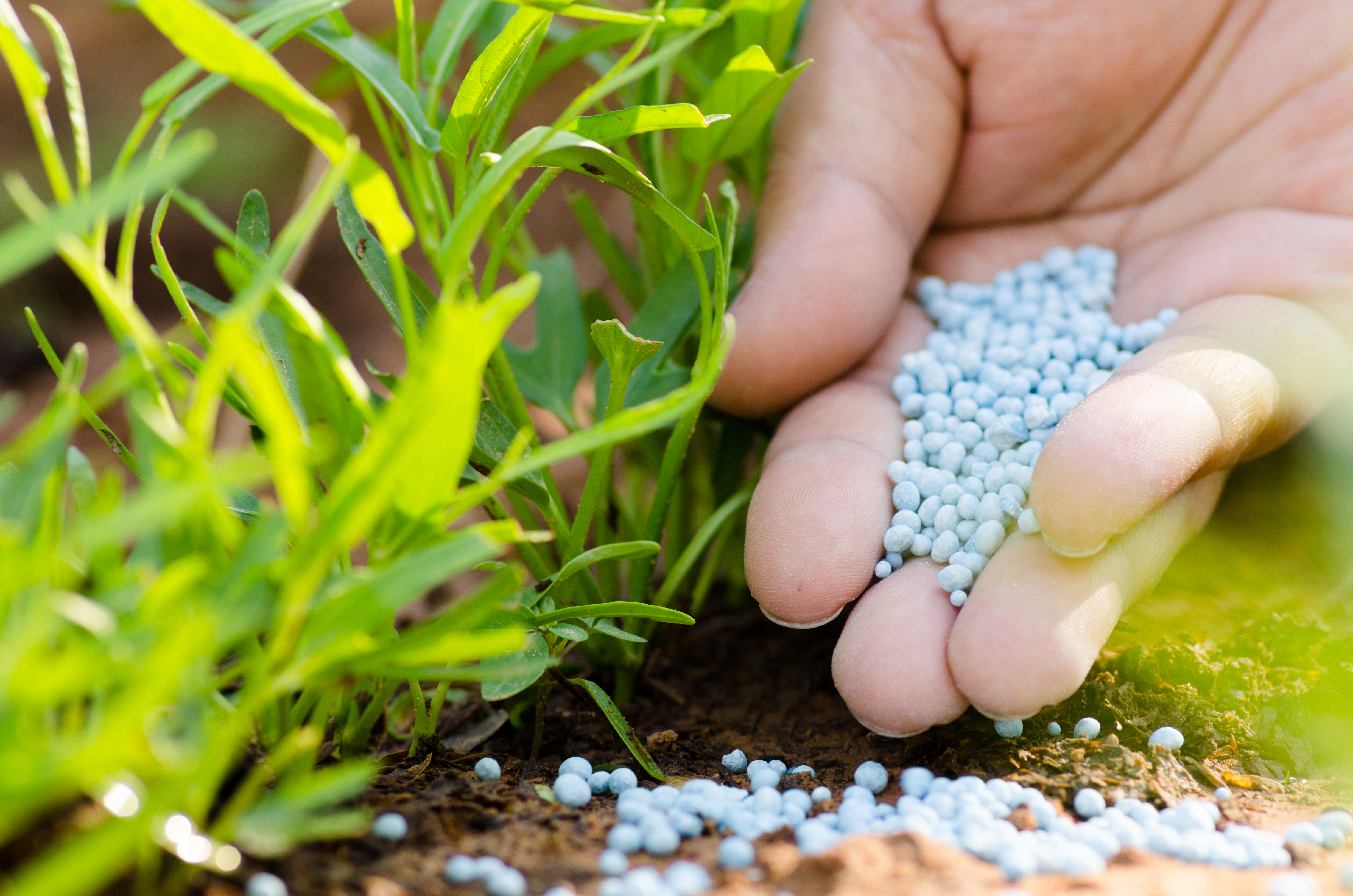 METSO AMPLIA FOCO NO MERCADO DE FERTILIZANTES