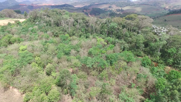 ESTUDO COMPROVA QUE RECUPERAÇÃO DE SOLOS MINERADOS GERA TERRENOS PRODUTIVOS