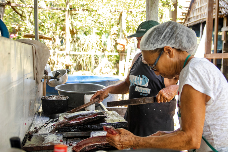 PROJETO DE APOIO À PISCICULTURA EM ORIXIMINÁ 