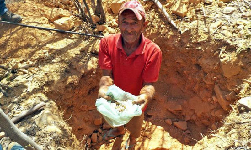 GARIMPO NA BAHIA CRESCEU MAIS DE 40% EM 10 ANOS