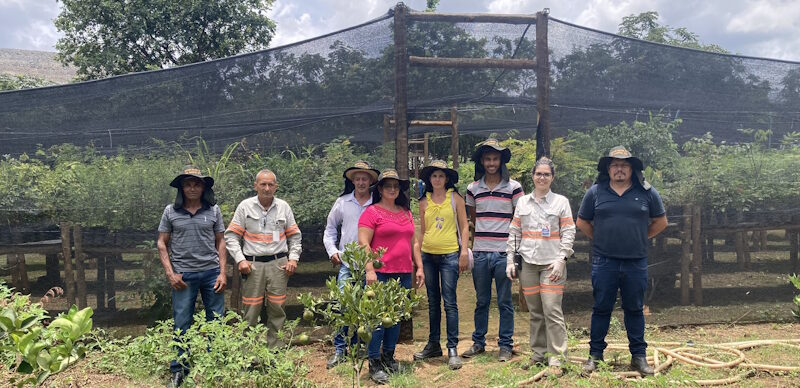 EQUINOX GOLD: PROJETOS DE APOIO À AGRICULTURA FAMILIAR