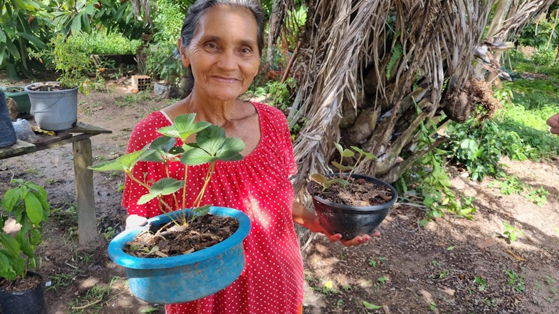 INCENTIVO À GERAÇÃO DE RENDA E PRESERVAÇÃO AMBIENTAL