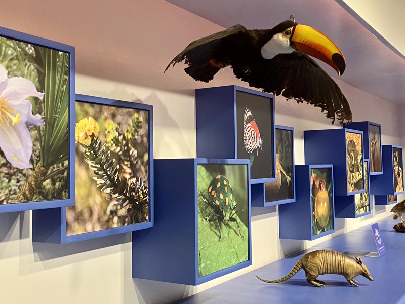 REFERÊNCIA EM CULTURA E EDUCAÇÃO