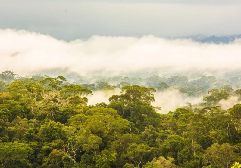 O EXEMPLO DA SERRA DO NAVIO