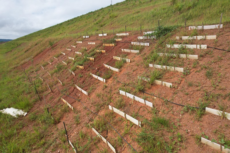 TECNOLOGIA PARA REVEGETAÇÃO
