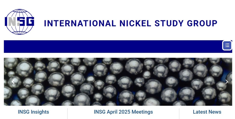 GRUPO INTERNACIONAL DE ESTUDOS DO NÍQUEL