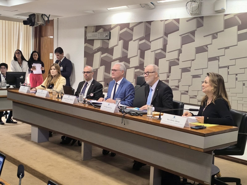 RAUL JUNGMANN ALERTA SENADORES SOBRE NEOCOLONIALISMO EM RELAÇÃO AO SETOR