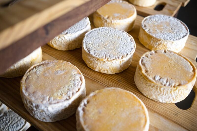 PROGRAMA CRESCER: AUMENTO DA RENDA MÉDIA DE PRODUTORES RURAIS EM 45%