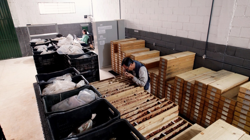 CABO VERDE MINERAÇÃO AVANÇA NAS PESQUISAS DE TERRAS RARAS