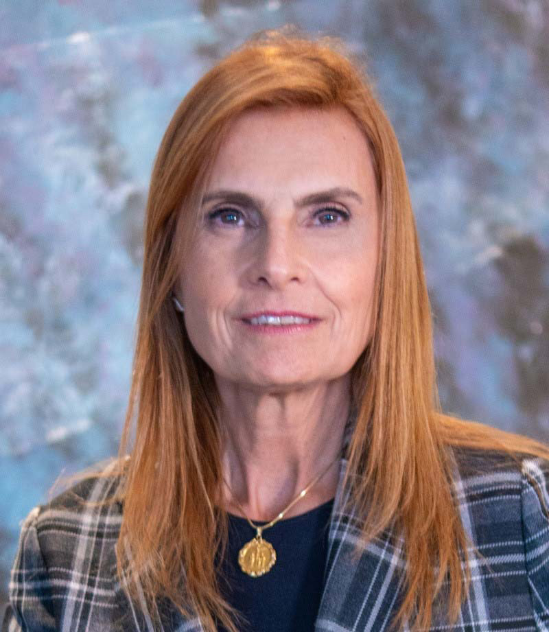 ASSOCIAÇÃO DEFENDE POLÍTICA PARA MINERAIS CRÍTICOS