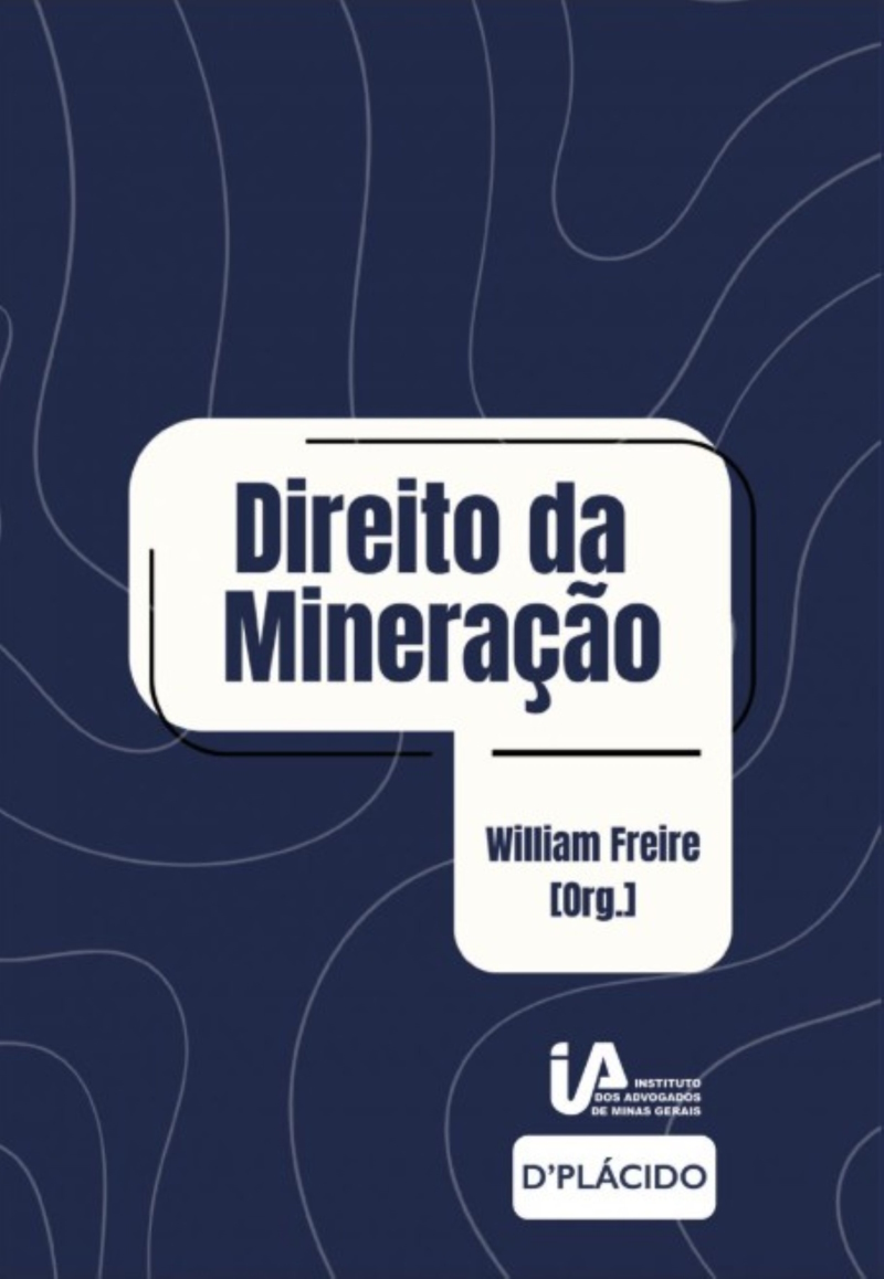 VISÕES SOBRE REGULAÇÃO E IMPACTOS DO SETOR