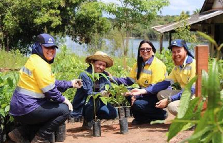 JURUTI TERÁ PLANTIO RECORDE DE 344 MIL MUDAS