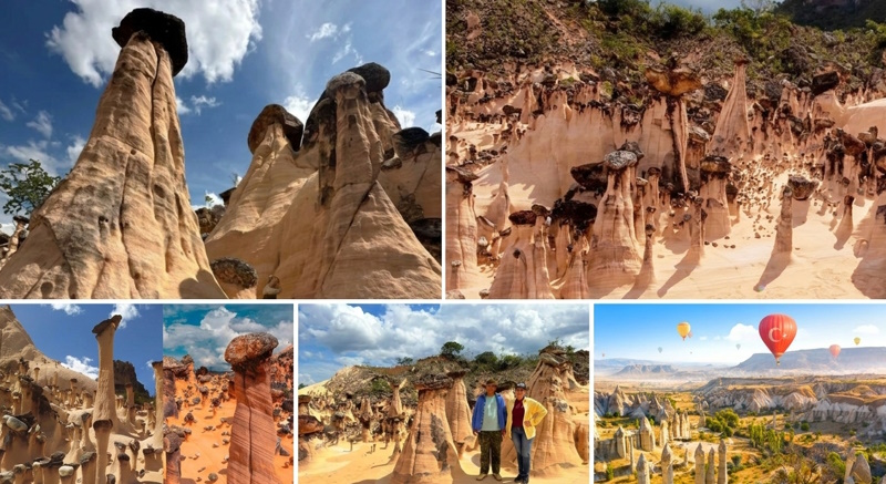 AS DEMOISELLES COIFFÉES DE GOIÁS