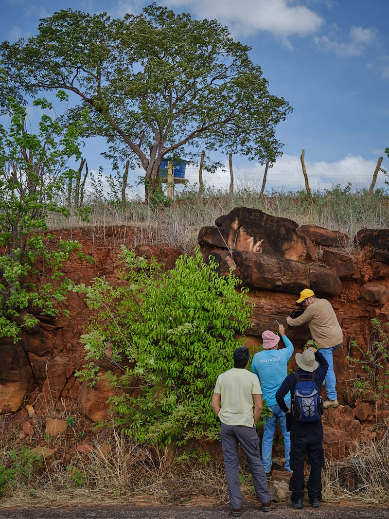 ORIGEN AVANÇA NA AQUISIÇÃO DE ÁREAS NO BRASIL