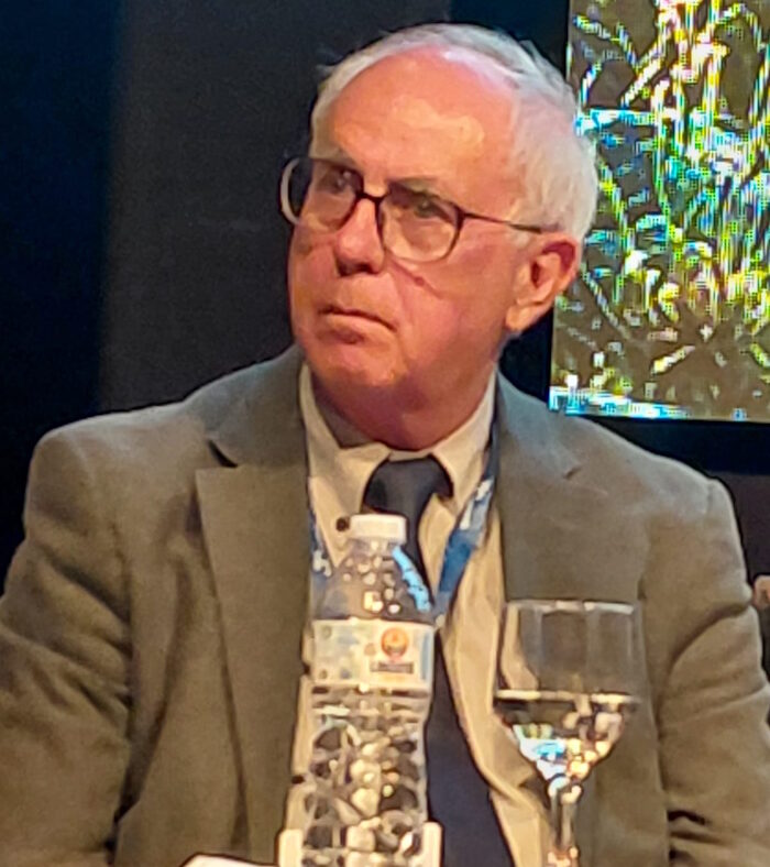 Júlio Nery, do IBRAM: “setor mineral como motor de aceleração de uma nova fase de crescimento”