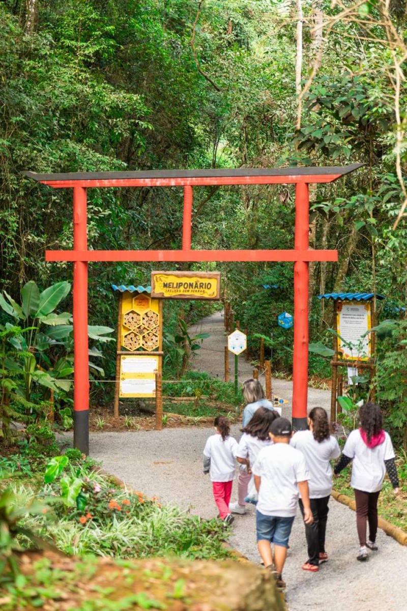 REFLORESTE: PELA BIODIVERSIDADE