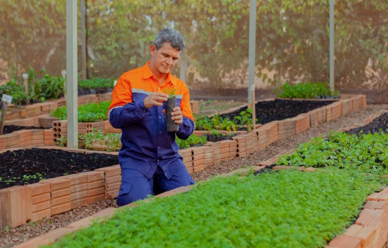 PRESERVAÇÃO DE ESPÉCIES AMEAÇADAS E PATRIMÔNIO GENÉTICO DA FLORA