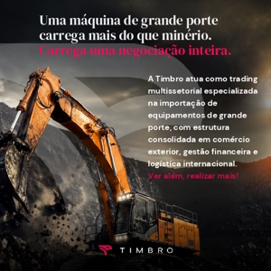 Anuncio timbro In The Mine (20.2 x 13.3 cm) (300 x 300 px)_page-0001